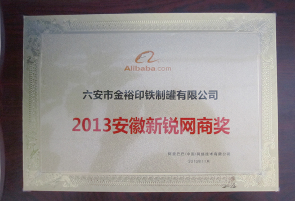 2013年安徽新锐网商奖
